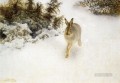 冬ウサギ